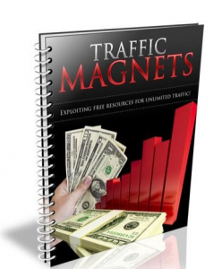 Website Traffic Magnets 